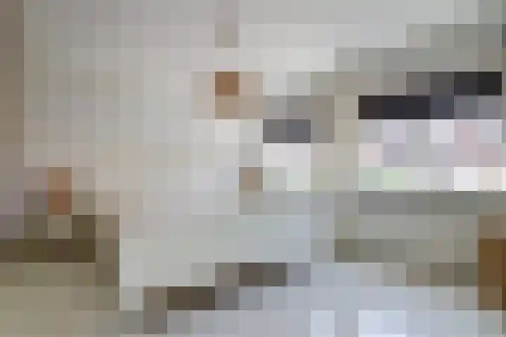Julianastraat 92 Dongen thumbnail 26