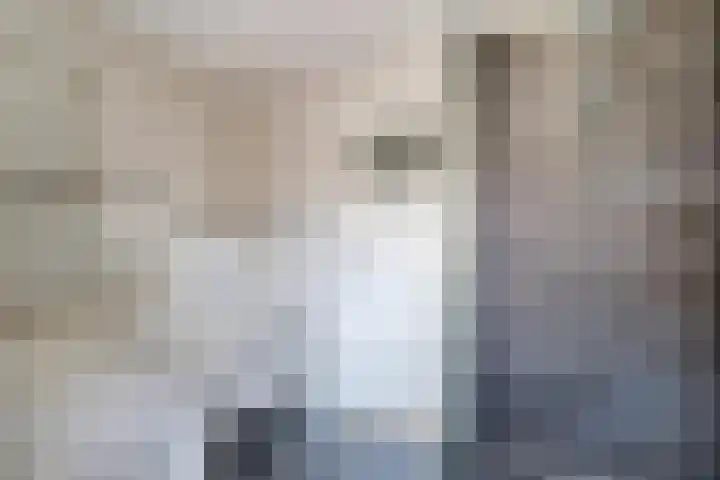 Julianastraat 92 Dongen thumbnail 29
