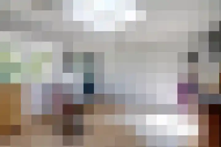Julianastraat 92 Dongen thumbnail 33