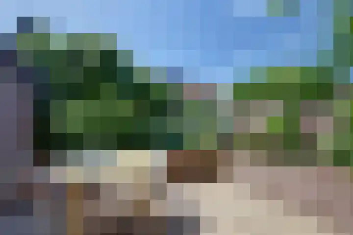 Julianastraat 92 Dongen thumbnail 34