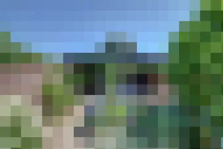 Julianastraat 92 Dongen thumbnail 36