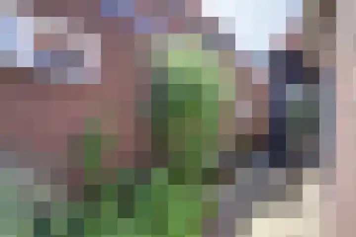 Julianastraat 92 Dongen thumbnail 38