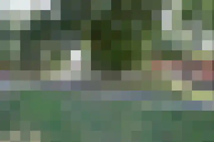 Julianastraat 92 Dongen thumbnail 4