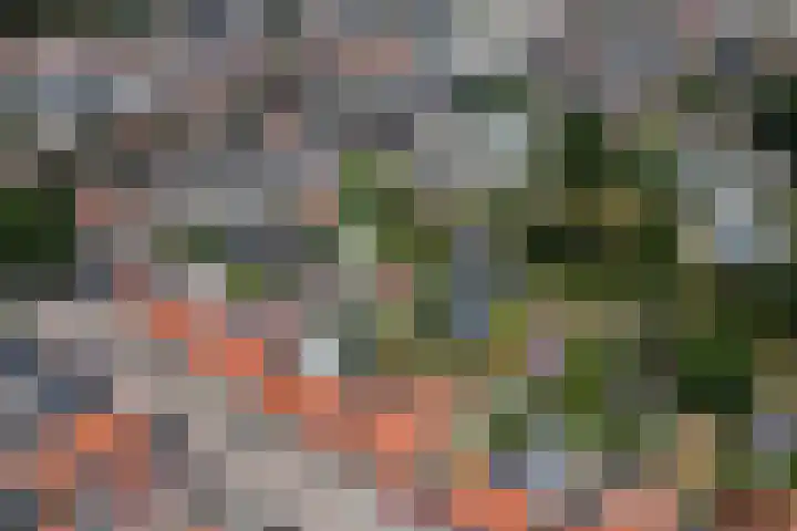 Julianastraat 92 Dongen thumbnail 40