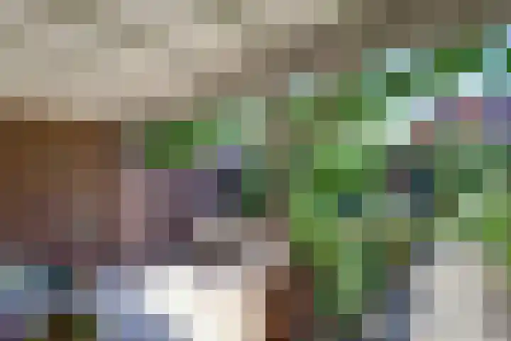 Julianastraat 92 Dongen thumbnail 6