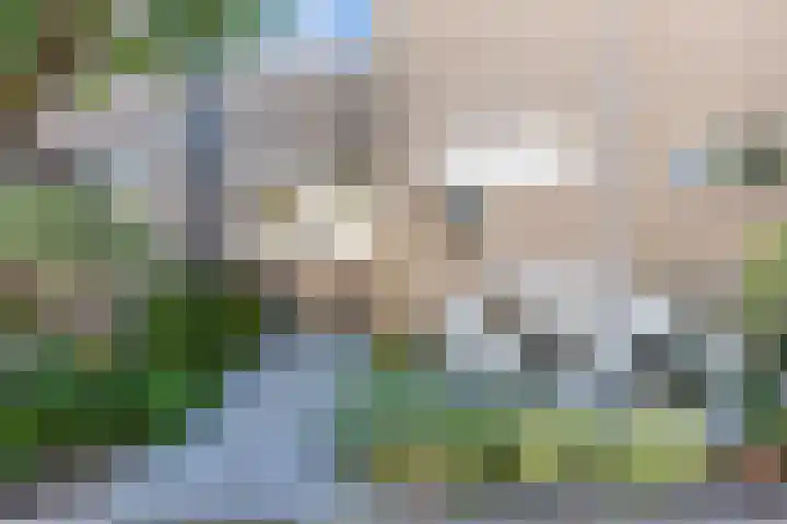 Julianastraat 92 't Zand thumbnail 10