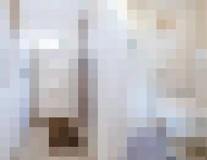 Julianastraat 92 't Zand thumbnail 14