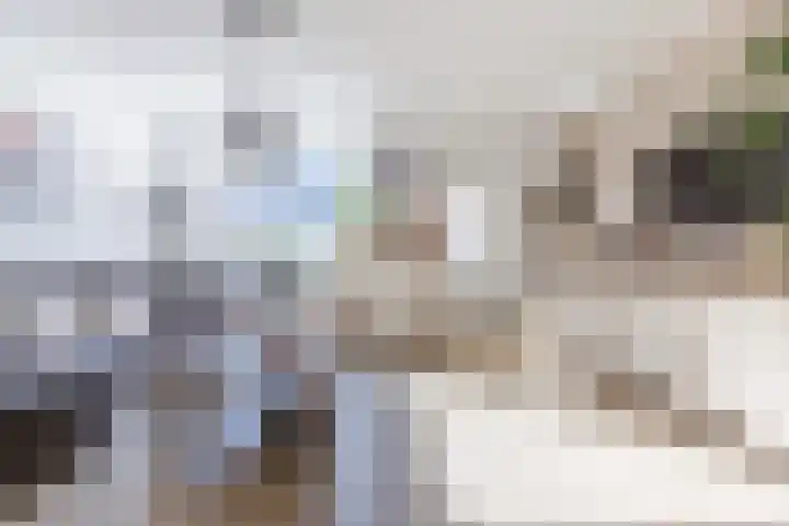 Julianastraat 92 't Zand thumbnail 16
