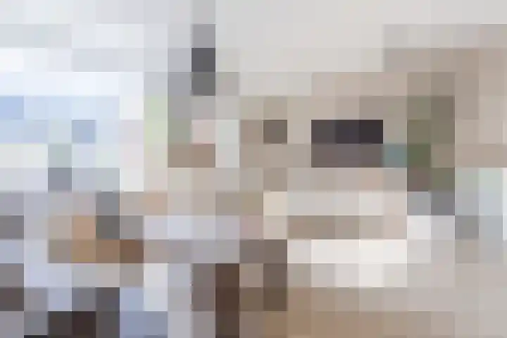 Julianastraat 92 't Zand thumbnail 17