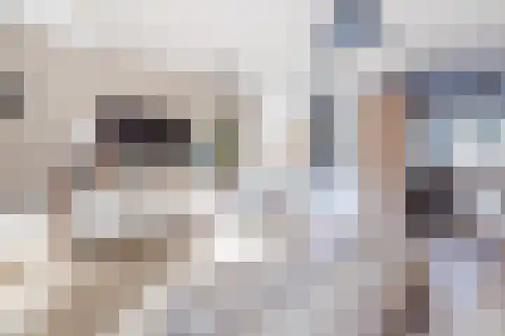 Julianastraat 92 't Zand thumbnail 18