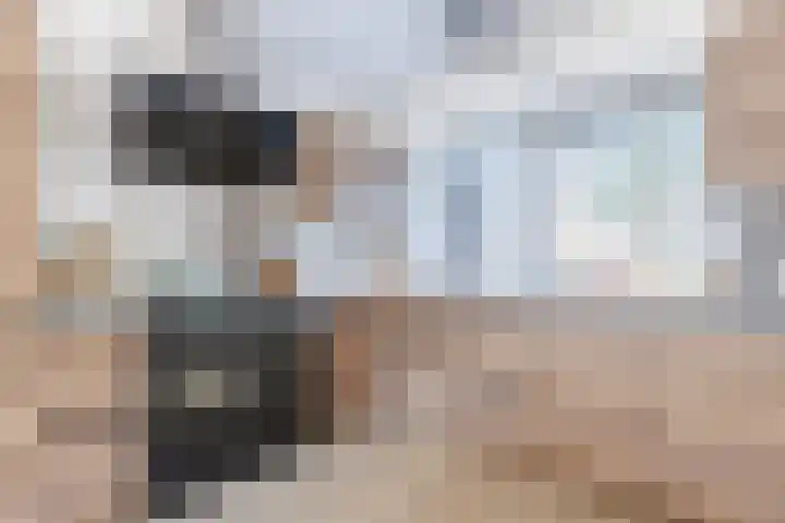 Julianastraat 92 't Zand thumbnail 19