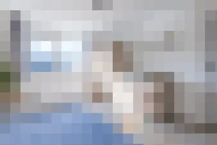 Julianastraat 92 't Zand thumbnail 26