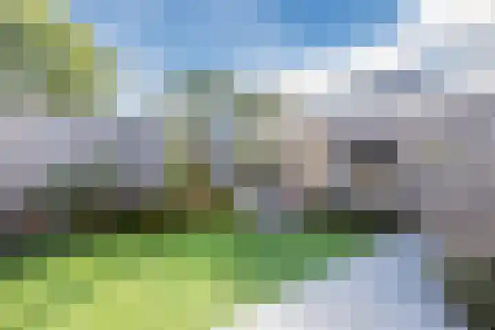 Julianastraat 92 't Zand thumbnail 42