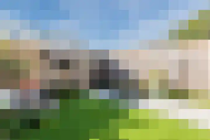 Julianastraat 92 't Zand thumbnail 44
