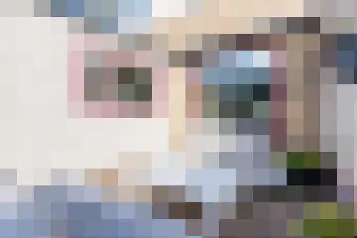 Julianastraat 92 't Zand thumbnail 45