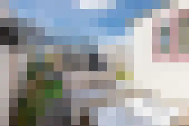 Julianastraat 92 't Zand thumbnail 46