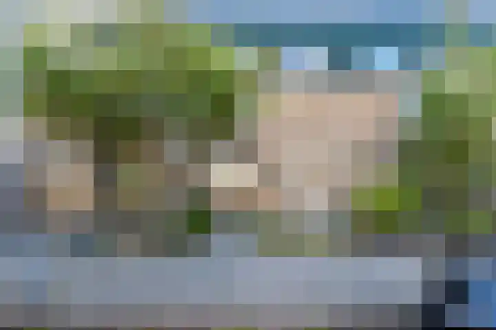 Julianastraat 92 't Zand thumbnail 5