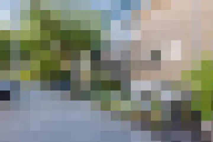Julianastraat 92 't Zand thumbnail 8