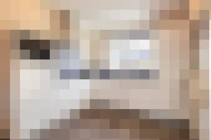Julianastraat 92 Vroomshoop thumbnail 14