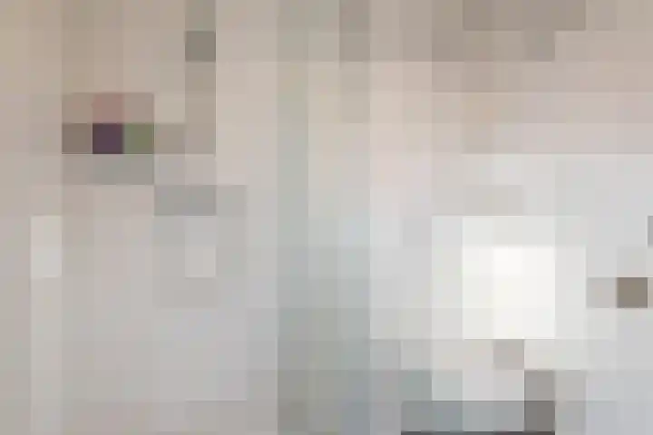 Julianastraat 92 Vroomshoop thumbnail 19