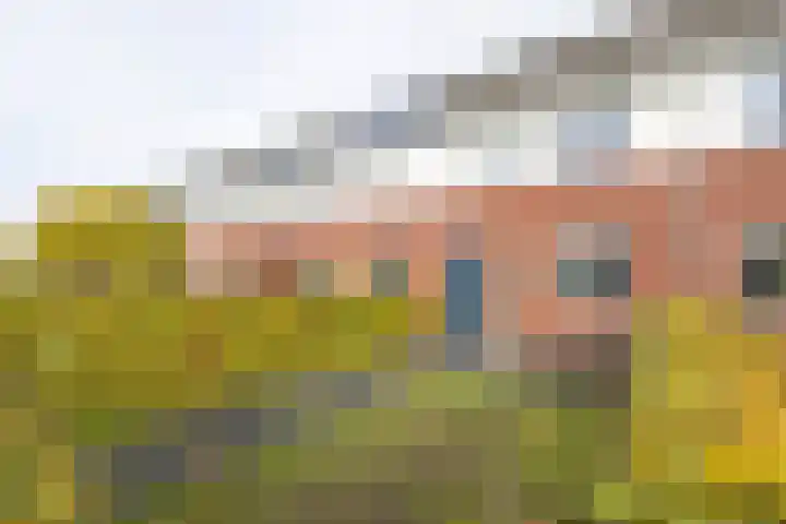 Julianastraat 92 Vroomshoop thumbnail 23