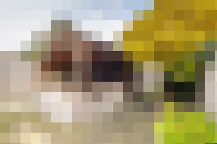 Julianastraat 92 Vroomshoop thumbnail 26