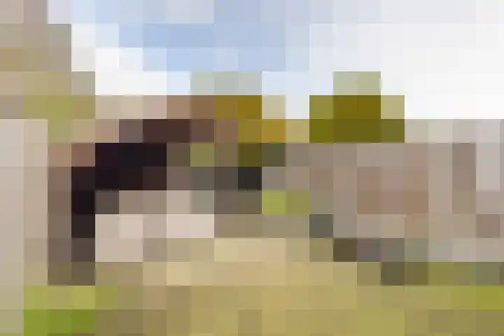 Julianastraat 92 Vroomshoop thumbnail 27