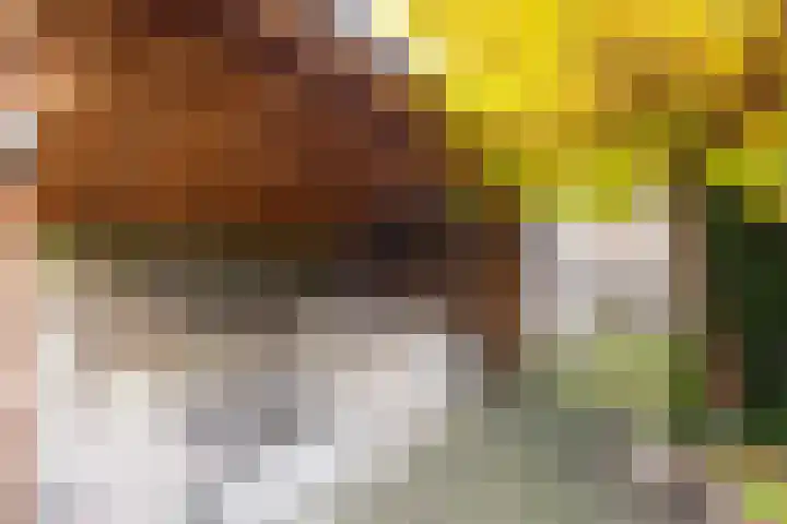 Julianastraat 92 Vroomshoop thumbnail 28