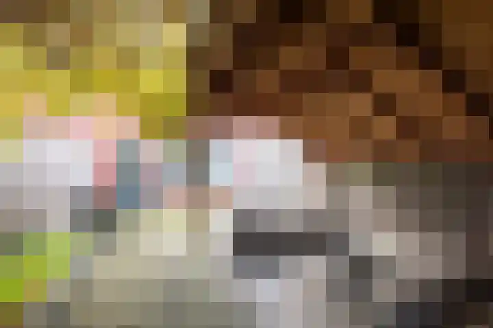Julianastraat 92 Vroomshoop thumbnail 29