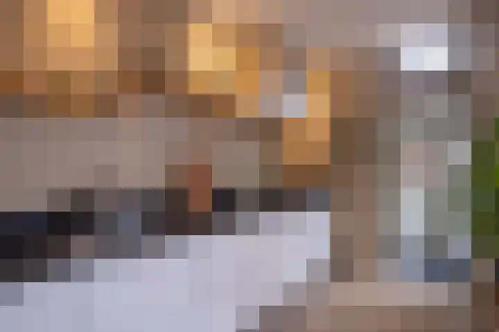 Julianastraat 92 Vroomshoop thumbnail 35