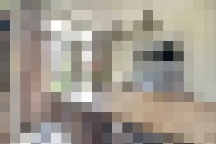 Julianastraat 93 Strijen thumbnail 10