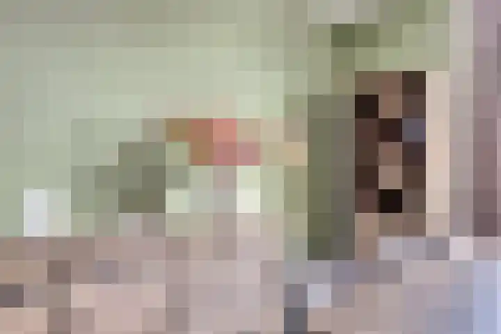 Julianastraat 93 Strijen thumbnail 11