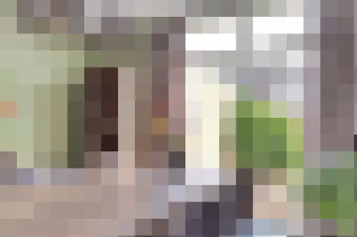 Julianastraat 93 Strijen thumbnail 13