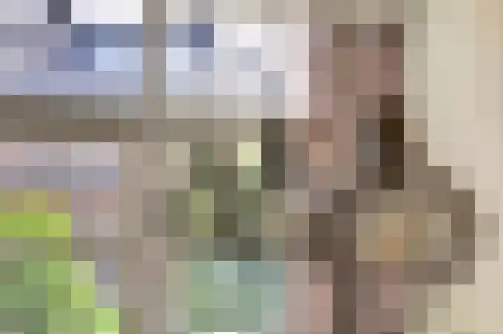 Julianastraat 93 Strijen thumbnail 14