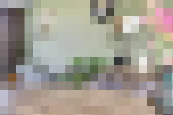 Julianastraat 93 Strijen thumbnail 15