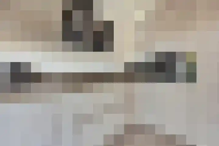 Julianastraat 93 Strijen thumbnail 16
