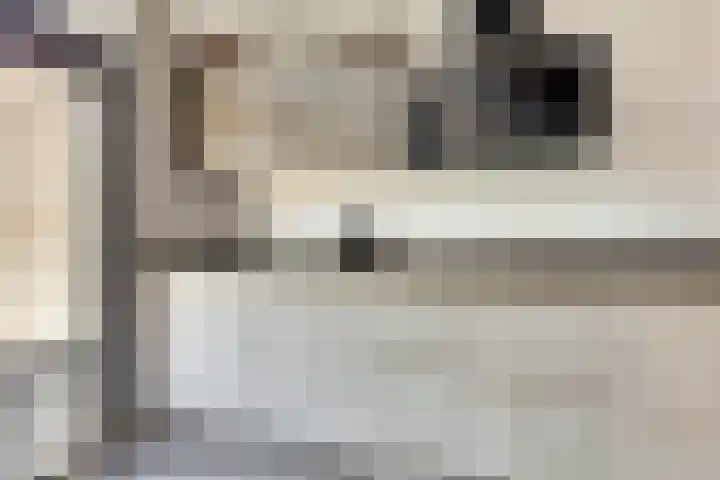 Julianastraat 93 Strijen thumbnail 17