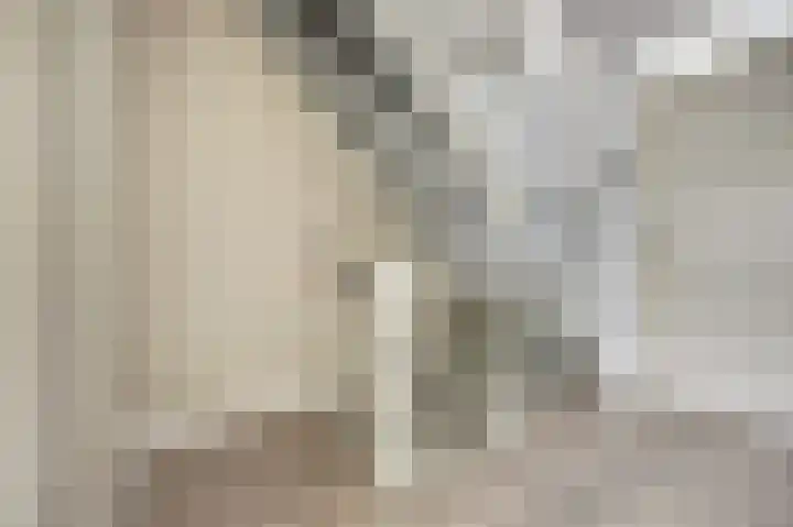 Julianastraat 93 Strijen thumbnail 23