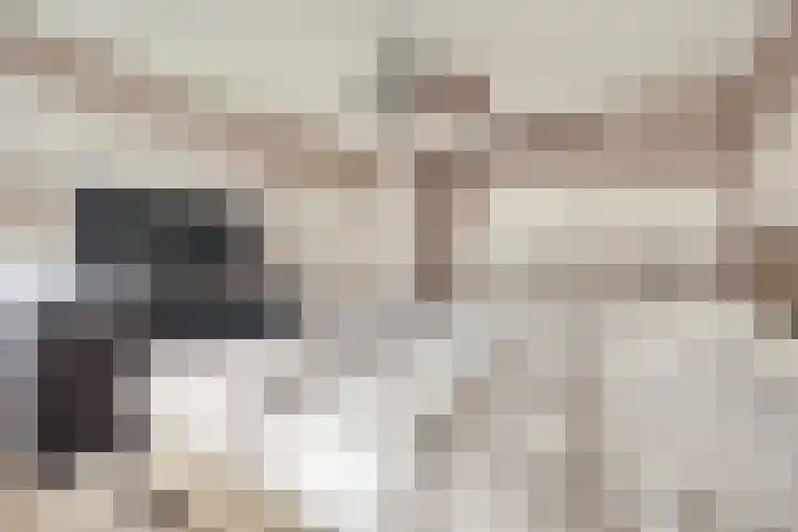 Julianastraat 93 Strijen thumbnail 24