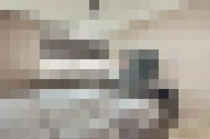 Julianastraat 93 Strijen thumbnail 26