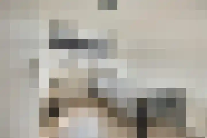 Julianastraat 93 Strijen thumbnail 27
