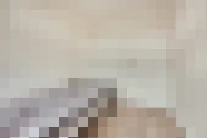 Julianastraat 93 Strijen thumbnail 28