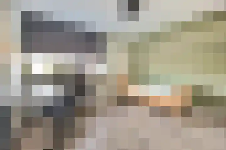 Julianastraat 93 Strijen thumbnail 29