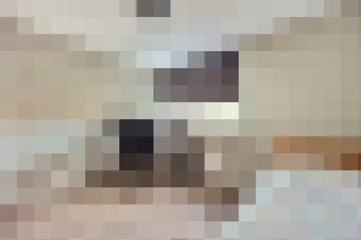 Julianastraat 93 Strijen thumbnail 31