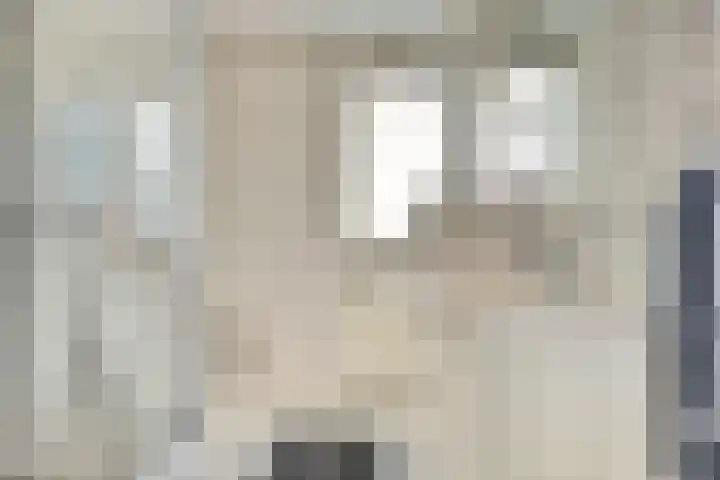 Julianastraat 93 Strijen thumbnail 32