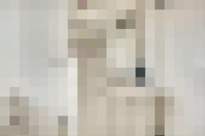 Julianastraat 93 Strijen thumbnail 33