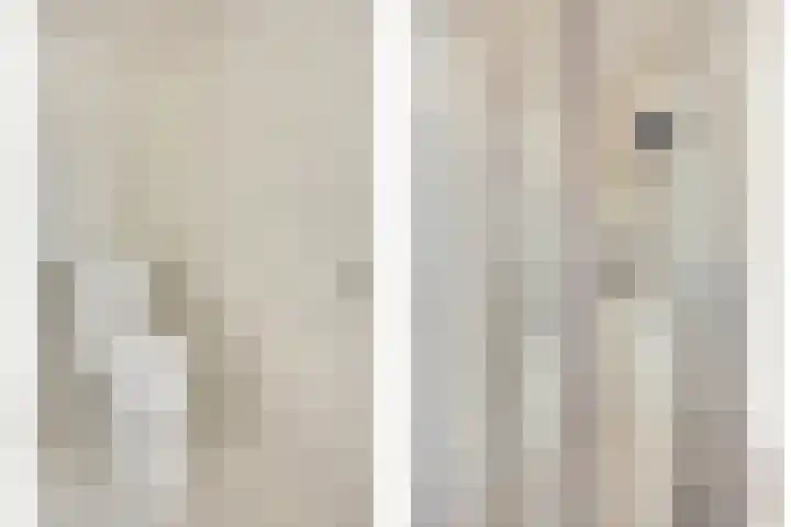 Julianastraat 93 Strijen thumbnail 34
