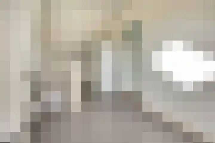 Julianastraat 93 Strijen thumbnail 35