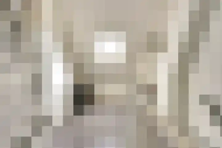 Julianastraat 93 Strijen thumbnail 36