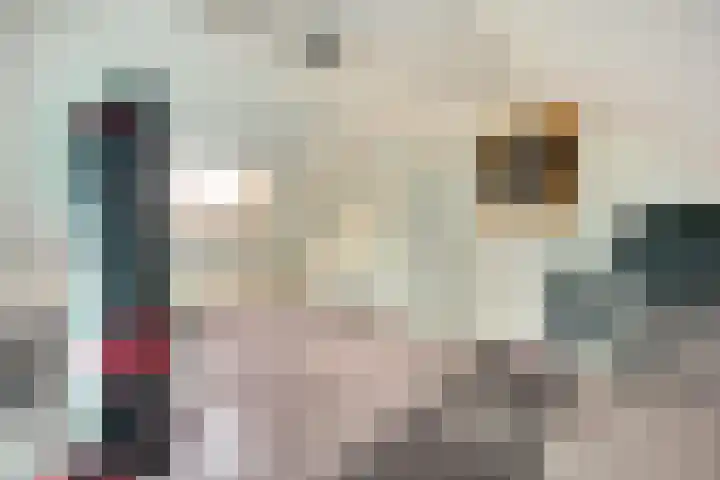 Julianastraat 93 Strijen thumbnail 39